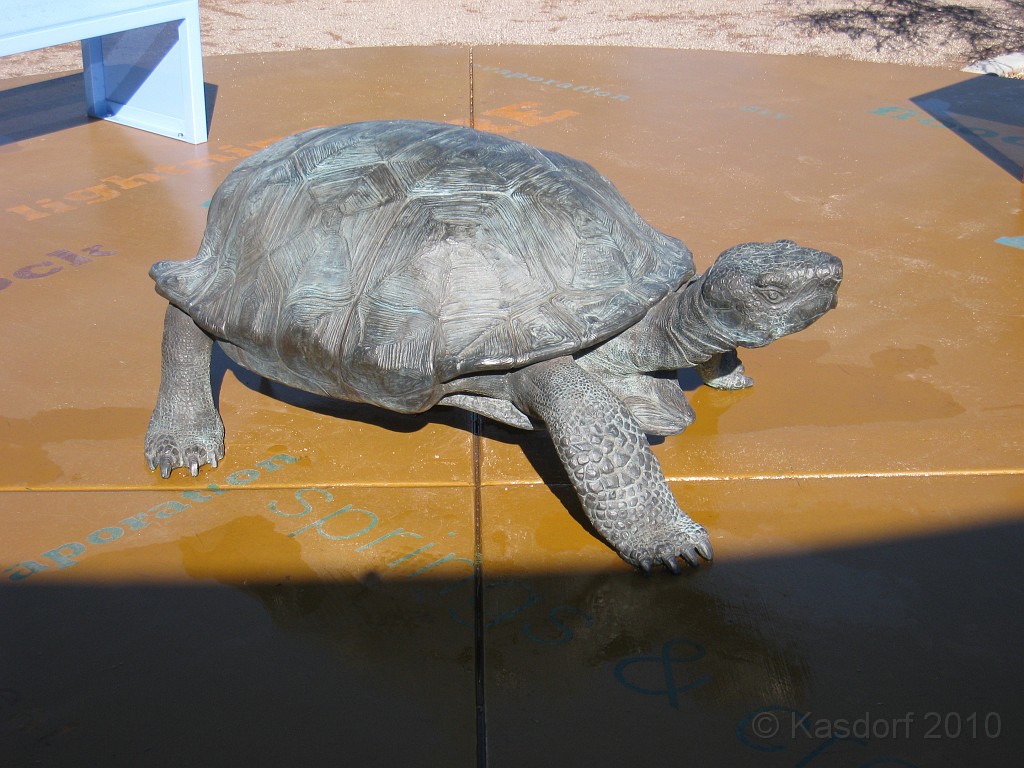 Las Vegas 2010 - Red Rock 0111.JPG - The 2010 Las Vegas Fire - Ice and Sweat Tour. Half Marathon, Red Rock Canyon, Casinos, Valley of Fire.... and buffets!